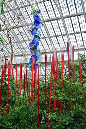 The glass houses were chock-a-block with them