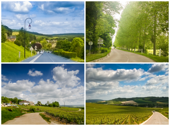 Route touristique du Champagne, indeed is one of the most picturesque route with an additional zing of the bubbly.
