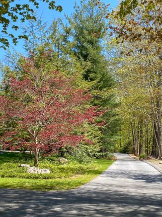 The access road for the neighbor behind us. 