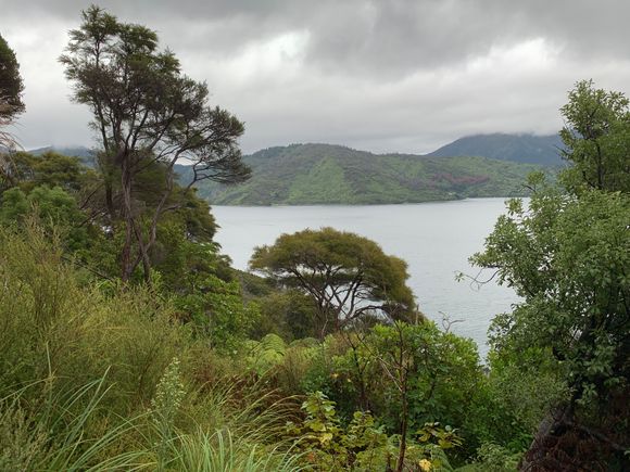 Time for a 6 mile hike 