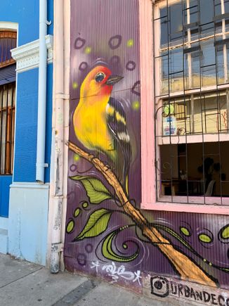 Birds are a very popular subject to paint.