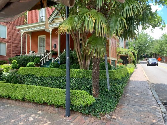 Fell for Fourth Ward from Queen City Rides