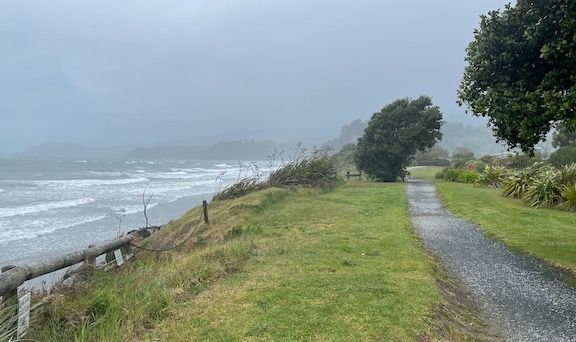 By the time we got to Golden Bay, we could barely open the car doors to get a look at the cost.