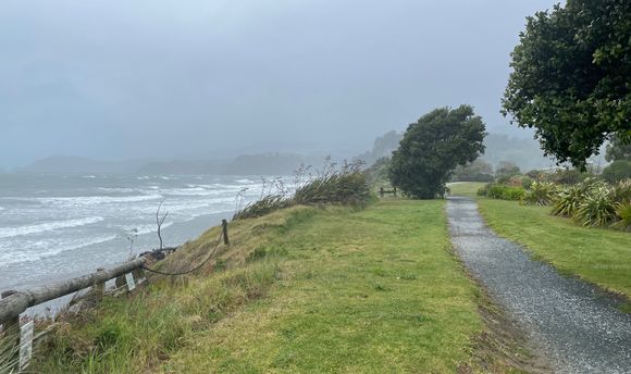 By the time we got to Golden Bay, I could barely get out of the car.