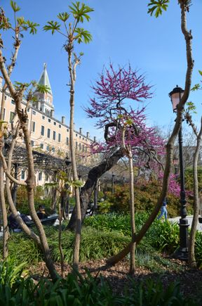 Giardini Reali