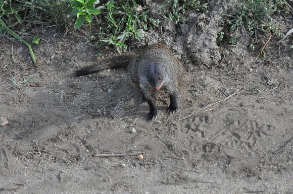 Stopped to see if we have anything to offer