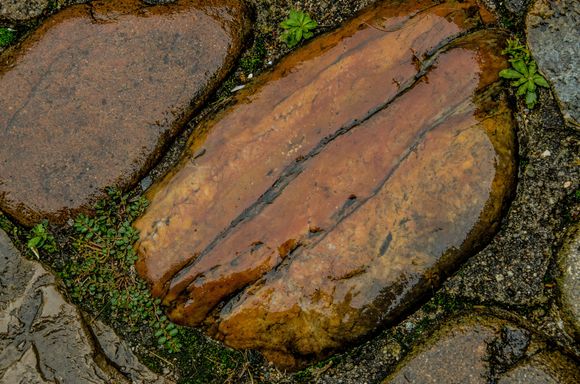 Colourful rock in the rain.