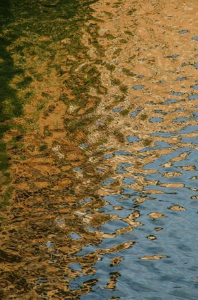 Tarn River reflection.