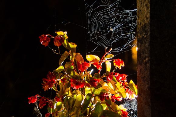 The spider asked for a tip after I took this shot, "Icit monsieur le photographer! Je vous demande un petit cadeau." This is the unique 15C altar midway across the bridge built by Alzias Saunhac.