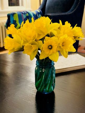 Glad for these. We still have a lot of snow on the ground. Nice to have a little spring in the house.