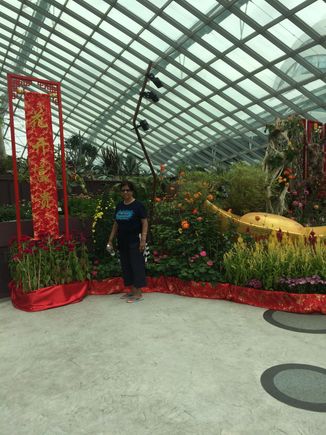 Gardens by the bay