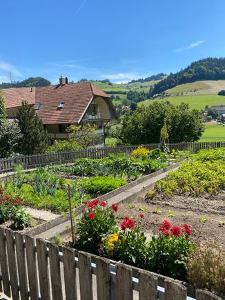 And this is the photo opposite the previous house.. the gardens! So typical of the area. 