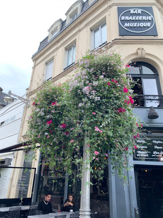 Pretty hanging flowers in Reims