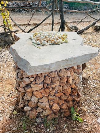 Fresh onions and garlic at Malo Grablje.