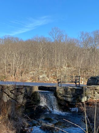 Signs of Spring at Devil’s Den today. It hasn’t been much of a winter but the sunshine still was glorious. 