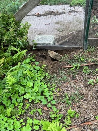 Highway to heaven for some critter!