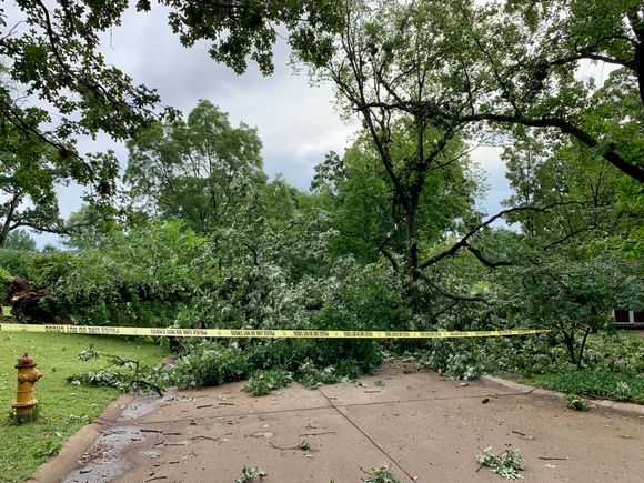 The tree blocking access out of our subdivision to the north. There is a downed wire as well. Had not been touched as of an hour ago.