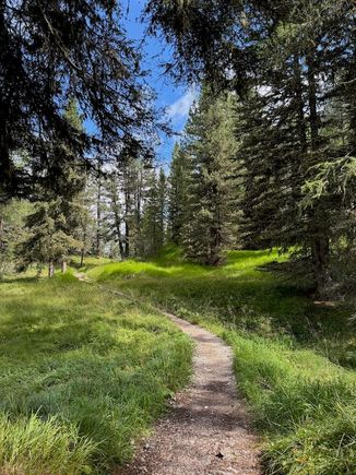 We eventually headed down through the trees towards the mid-station