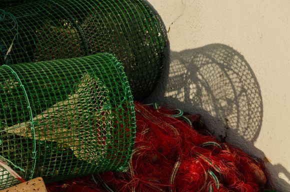 Even their gear was colorful!