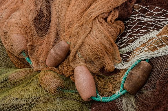 The sun was quite kind to us that day.