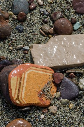 The assortment was a shutterbug's dream.