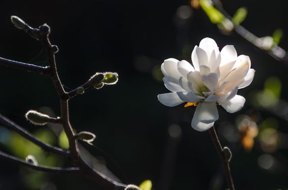 Best to take a taxi here. Buses come close but the signage was not stellar.