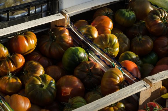 Where there is pasta there will always be pomodoro.