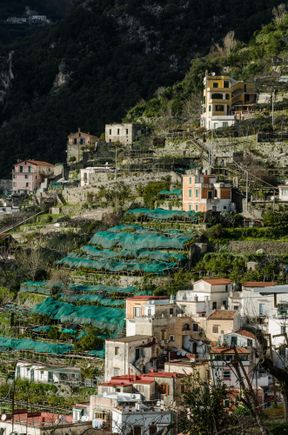 Such striking landscape. I rest my case (of limoncello).