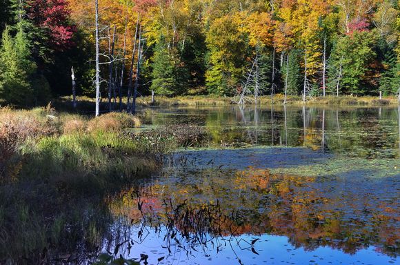 Those lakes include Lac du Sommet.