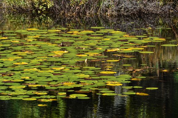 That was a peaceful place, ideal for picnics, sketching, shutterbugs.