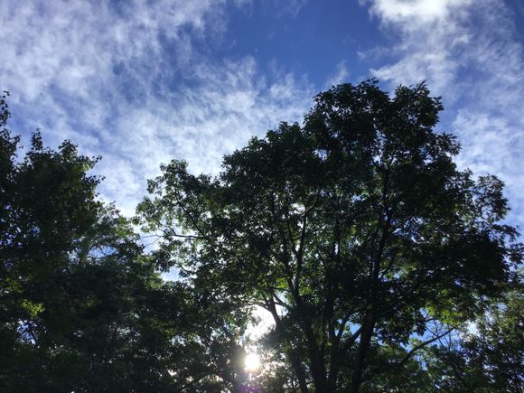 Fay is gone and blue skies are here this mkrning