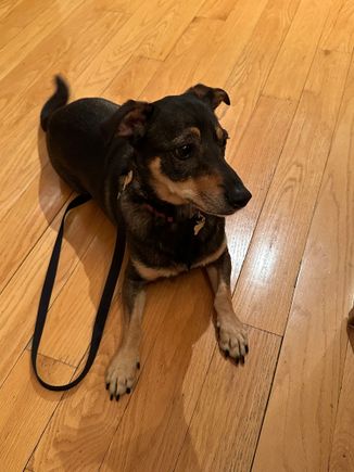 Hanging out in the kitchen. 