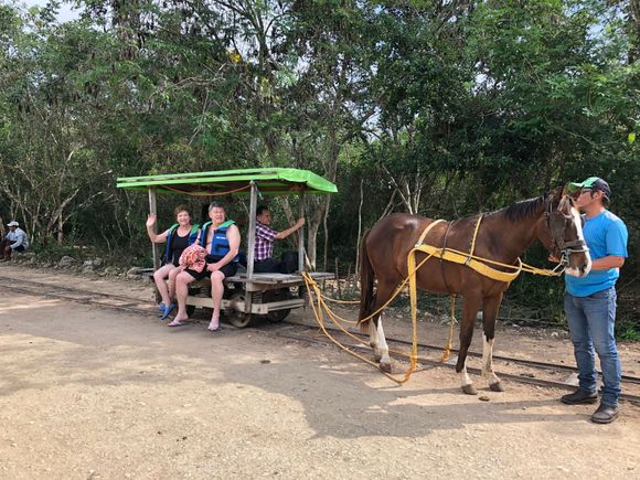 On our way to our first cenote near Merida
