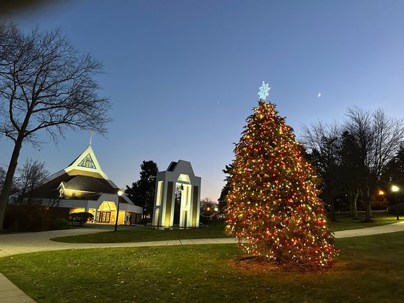 Tree lighting at my campus. 