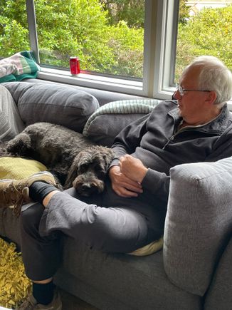 Ralphie is very comfortable 