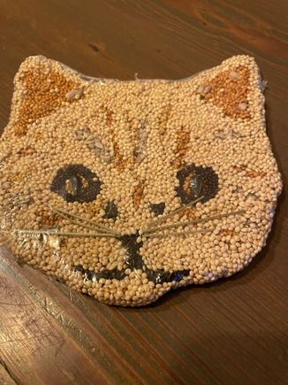 Christmas gift for my daughter’s cat. Haha. It’s a Tabby cat cookie—-which is actually birdseed so the cat gets to watch the birds eat it. It’s made by a company called Mr Bird in Texas. 