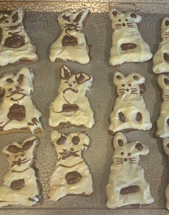 Bunny cookies 