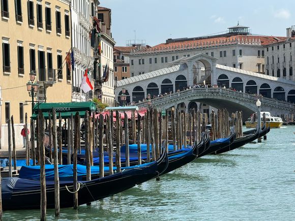 Gondolas and Rialto Bridge