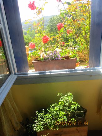 kitchen window