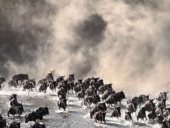 And they just keep on coming.