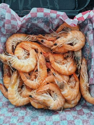 Whole shrimp steamed from Buddy Gandys 