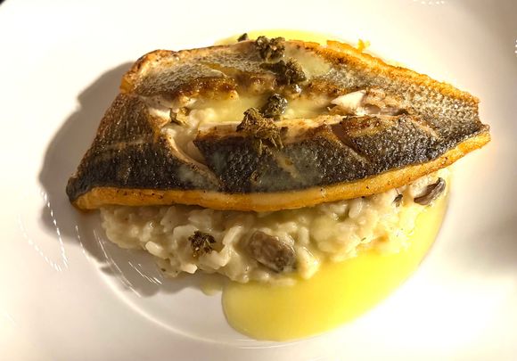 Branzino over truffle risotto 