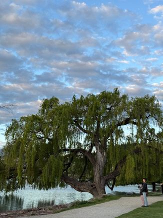 Beautiful evening skies over Lake Wanaka