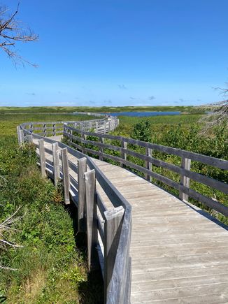 If we visit PEI again, I would definitely take this walk again.