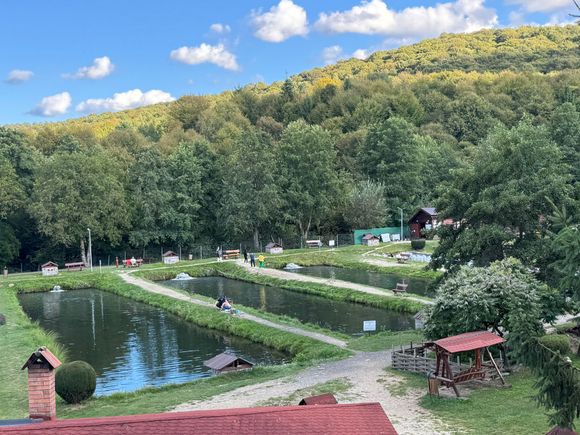 Albota Trout Farm where we had dinner