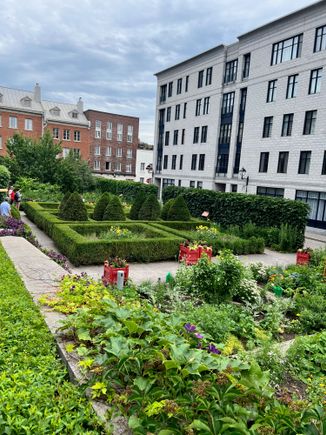 Gardens behind the home.