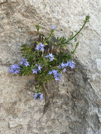 I’m always impressed by the tenacity of nature to create beauty.