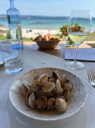Berberechos, cockles, with a mildly garlicky sauce.
I forgot to snap a photo of the leek with "calabaicin" sauce, but it was very nice.  Look at the color of that water in the background.   People were dining here in shorts, t-shirts, and flip flops...