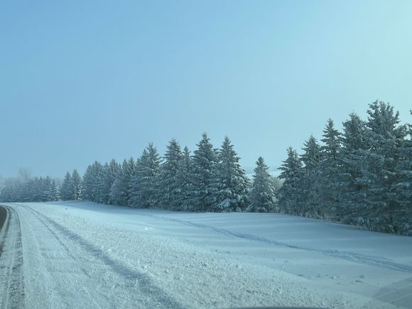 Fog and negative 10 F make for frosty photos.