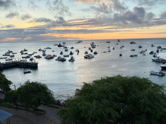 View from balcony